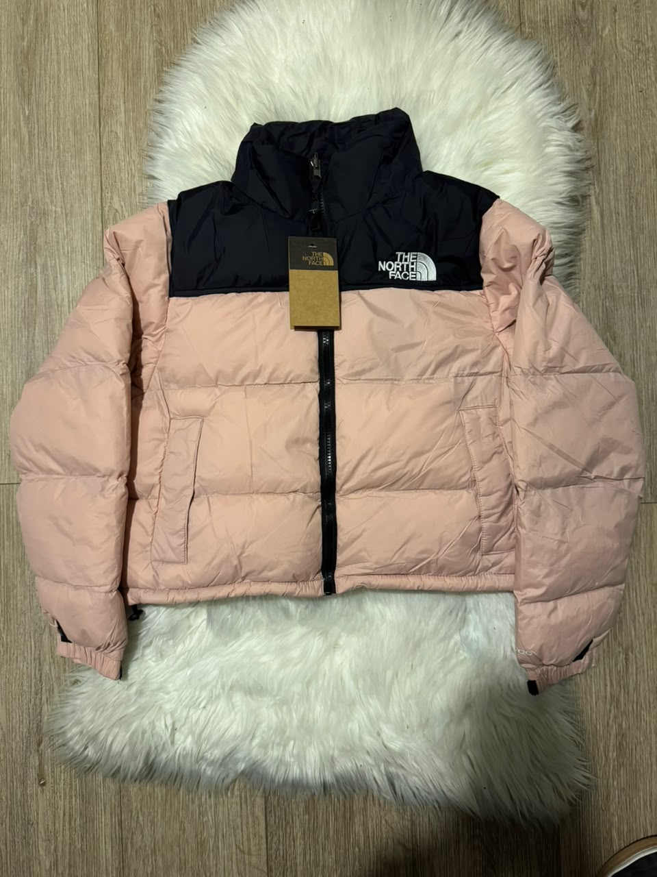 Chaqueta TNF Impermeable Mujer