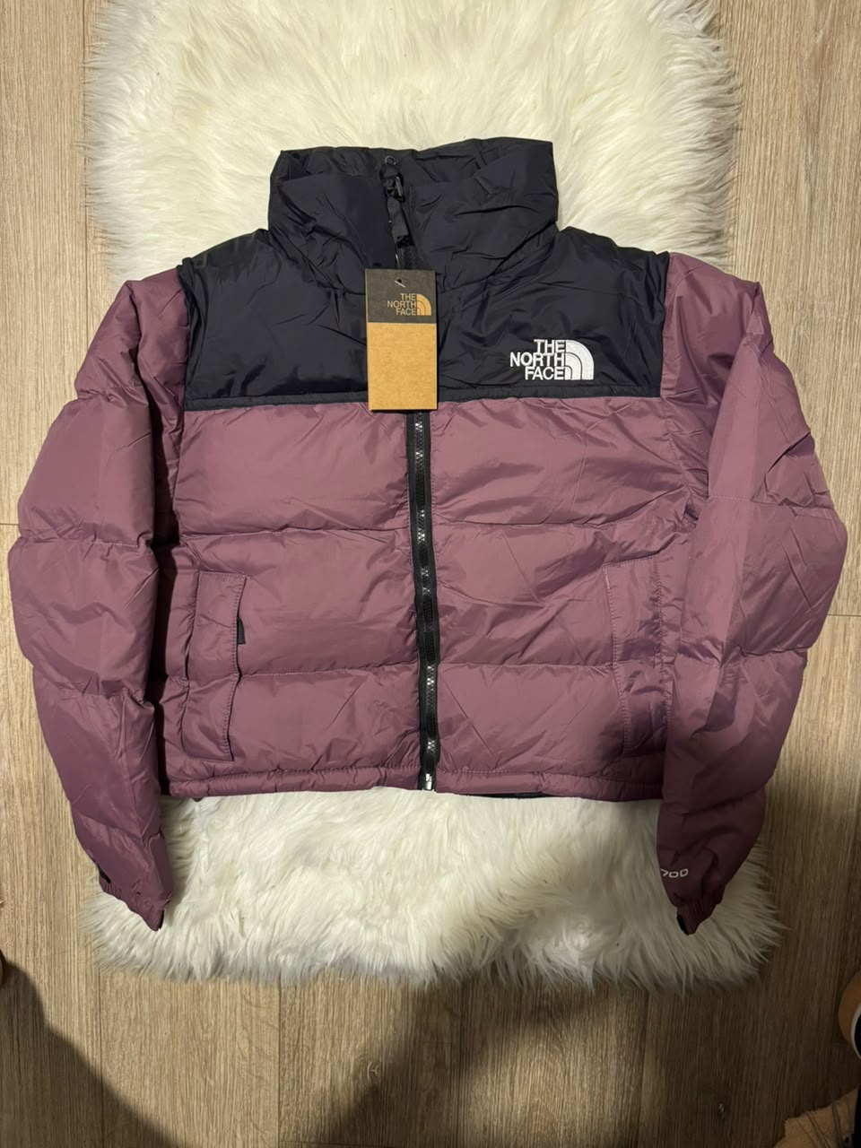 Chaqueta TNF Impermeable Mujer