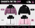 Chaqueta TNF Impermeable Mujer